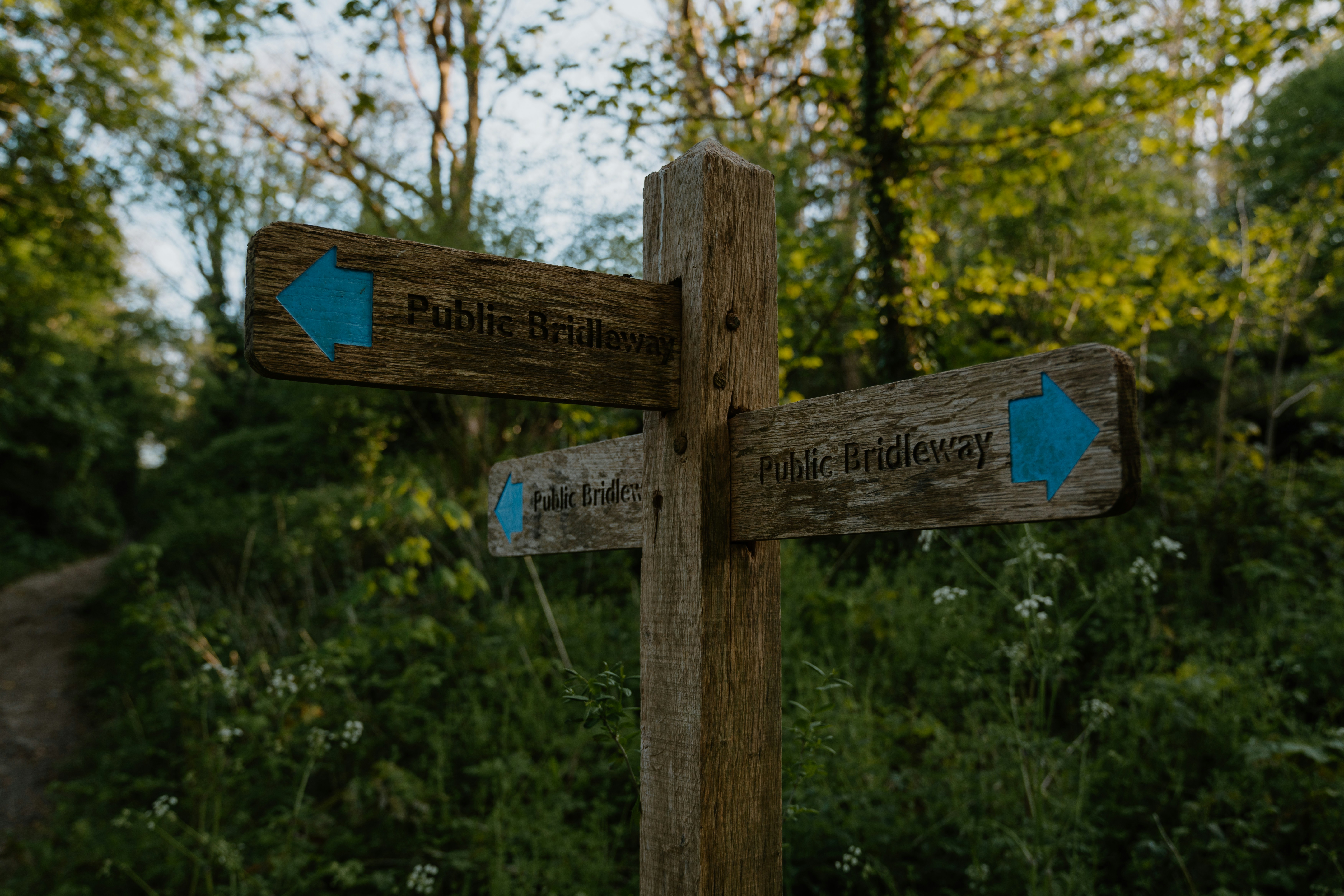 South Downs National Park